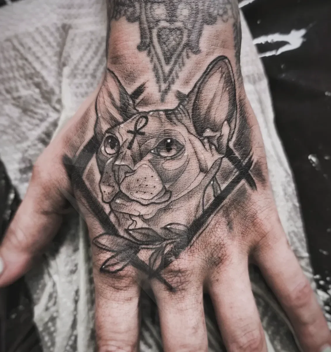Black & grey tetovaža mačke sfinge na roki